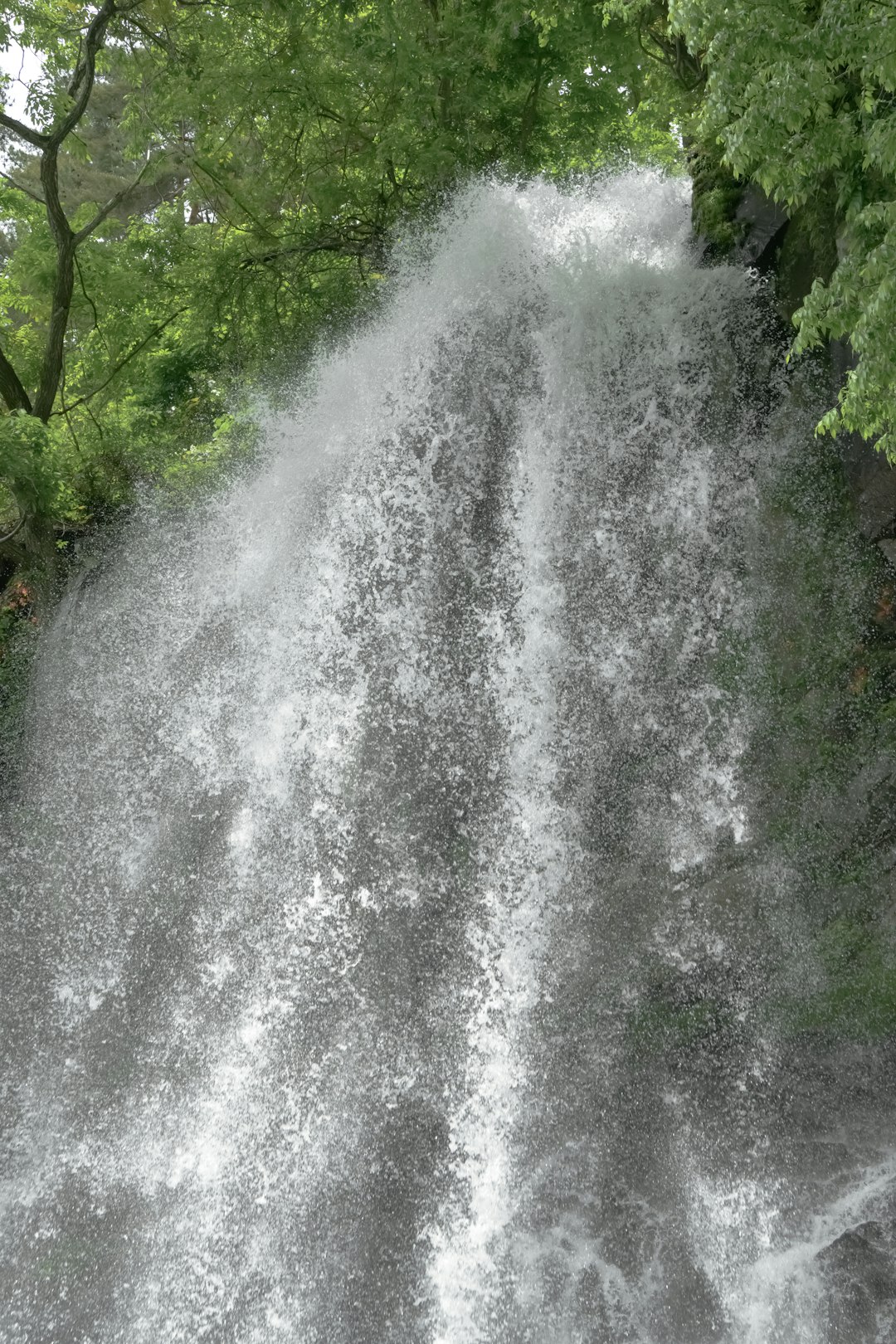 Jóga és meditáció